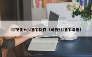 三亚可视化+小程序制作（可视化程序编程）